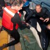 Geredde orka Morgan
