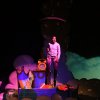 Shows en voorstellingen